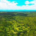 camp ndunda