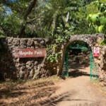 Bamburi Haller Park-Mombasa
