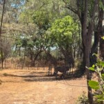 Bamburi Haller Park-Mombasa