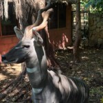 Bamburi Haller Park-Mombasa