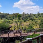 Nairobi Safari Walk Photos