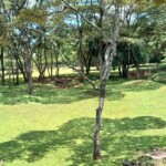 Nairobi Safari Walk Photos