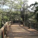 nairobi safari walk