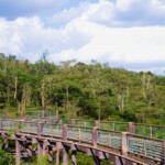 Nairobi Safari Walk