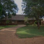 Nairobi Safari Walk