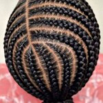 Black braids hairstyles pictures