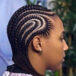 Black braids hairstyles pictures