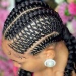Black braids hairstyles pictures