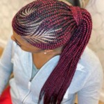 Black braids hairstyles pictures