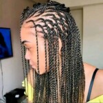 Black braids hairstyles pictures