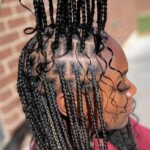 Black braids hairstyles pictures