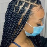 Black braids hairstyles pictures