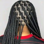 Black braids hairstyles pictures