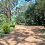 Nairobi Arboretum Photos