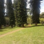 Nairobi Arboretum Photos