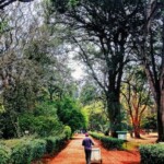 Nairobi Arboretum Photos