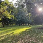 Nairobi Arboretum Photos