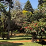 Nairobi Arboretum Photos