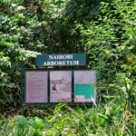 Nairobi Arboretum Photos
