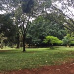 Nairobi Arboretum Photos
