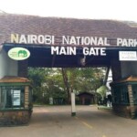 Nairobi National Park Photos