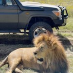 Nairobi National Park Photos
